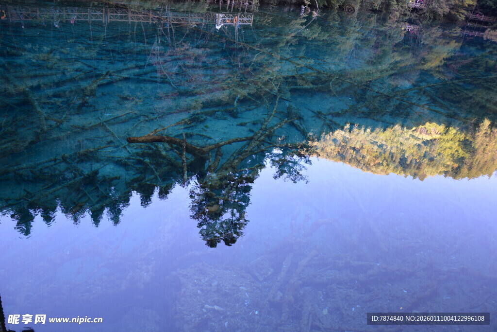 清澈湖水倒映山林美景