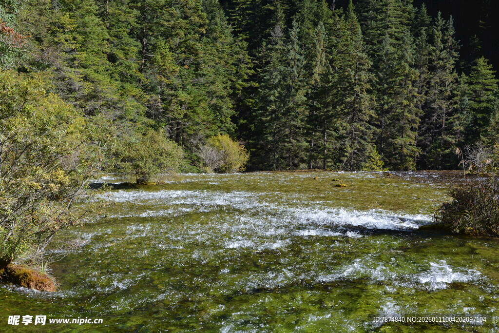 山间溪流 绿意盎然的景致