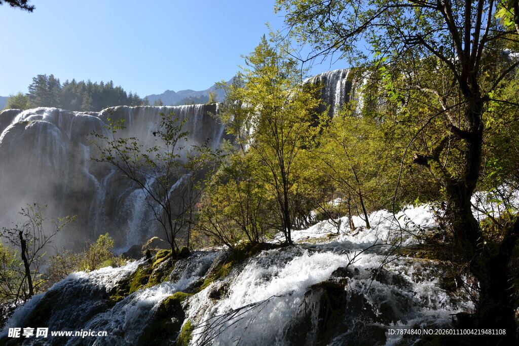 山间瀑布与葱郁树木景观