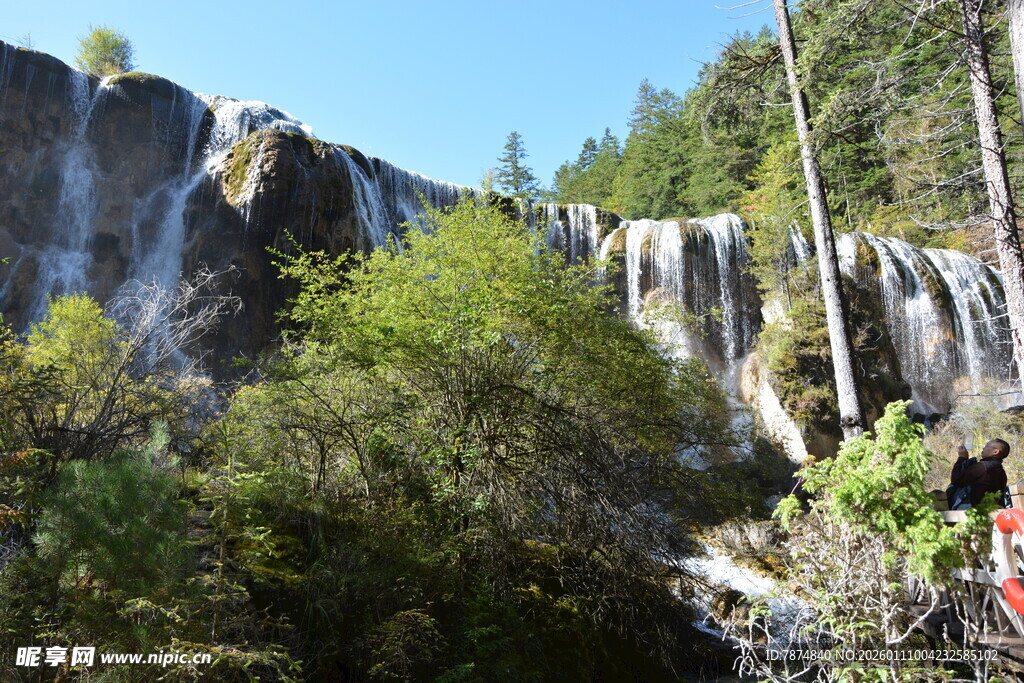 山间瀑布旁的繁茂植被