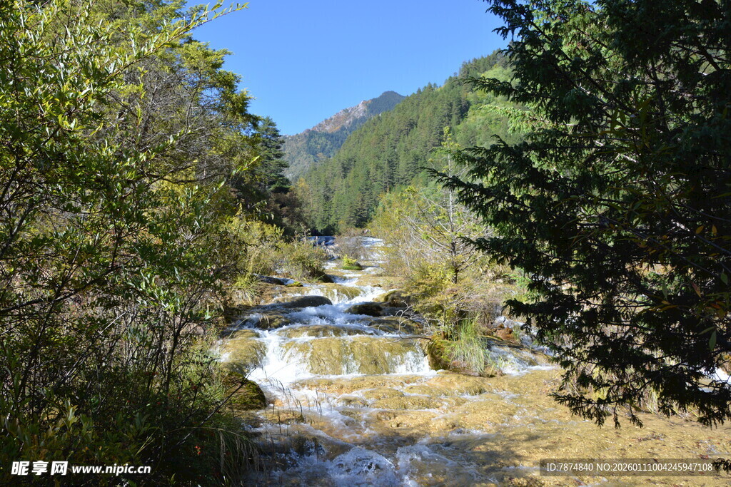 山间溪流 绿意环绕的美景