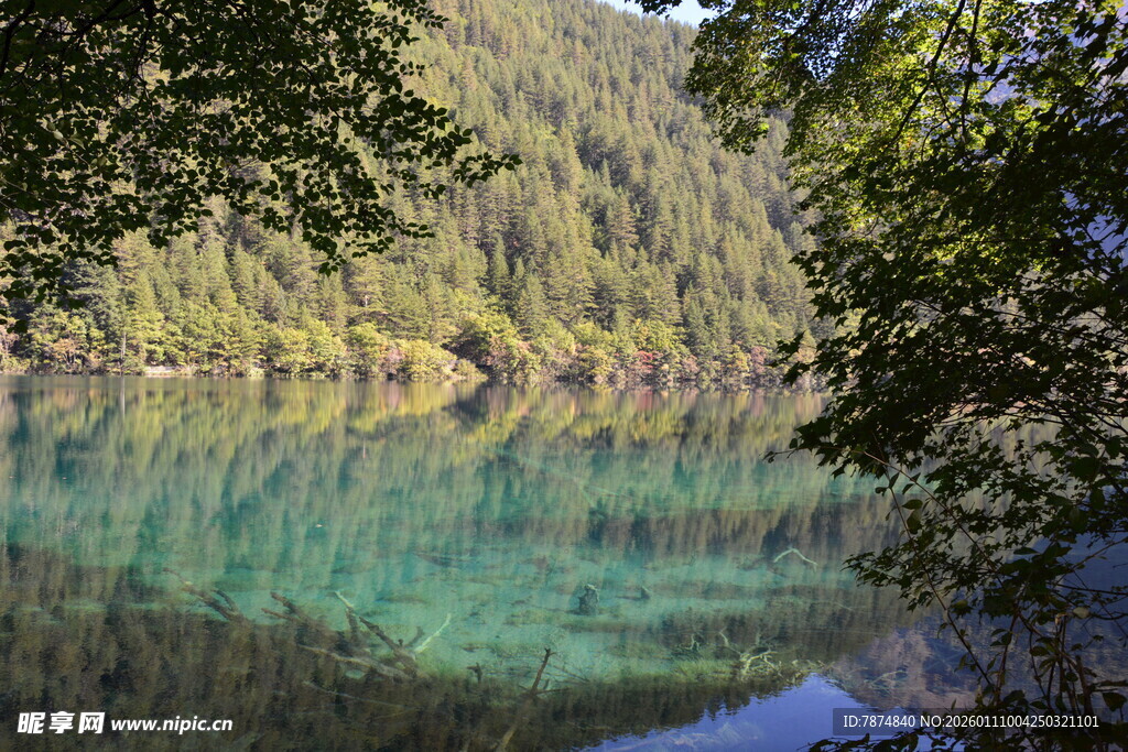 翠绿山林环绕的澄澈湖水