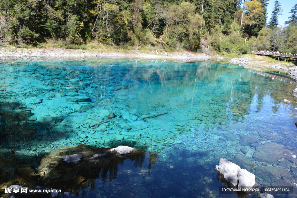 清澈蓝绿色的美丽自然湖泊