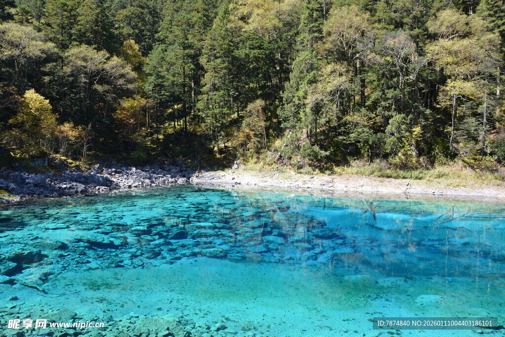 清澈蓝湖旁的葱郁山林