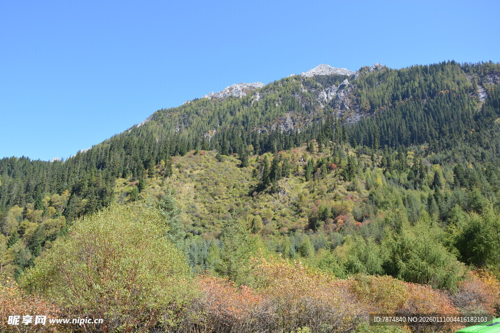 青山绿树间的秀丽风光