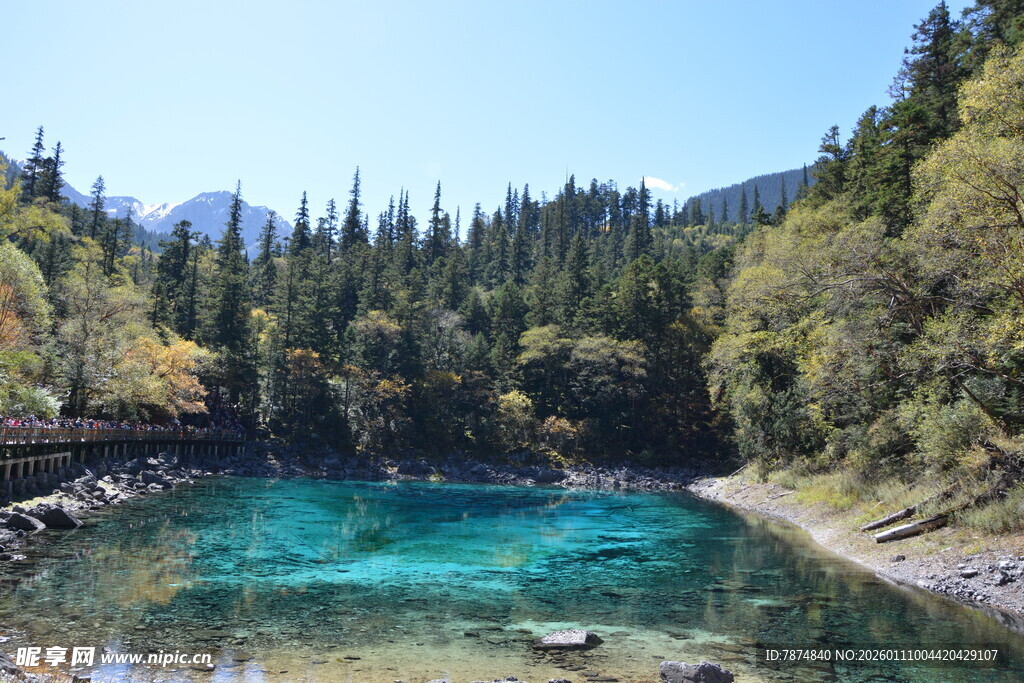 九寨沟绝美清澈蓝绿色湖水
