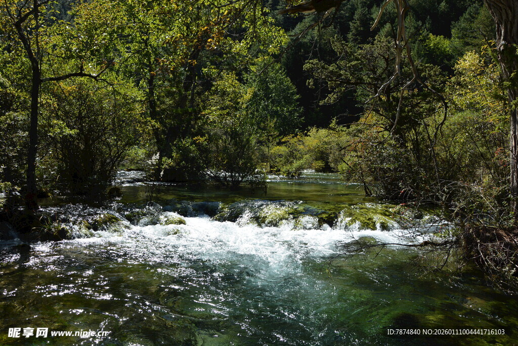 山间溪流 绿意盎然的景致