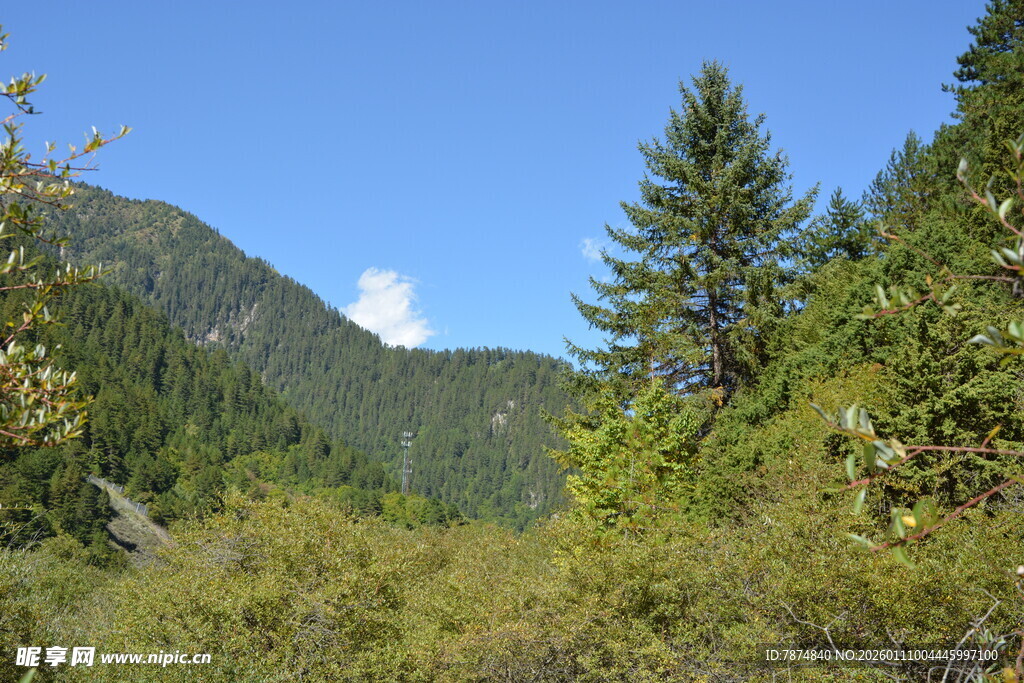 山林间的清新自然景致