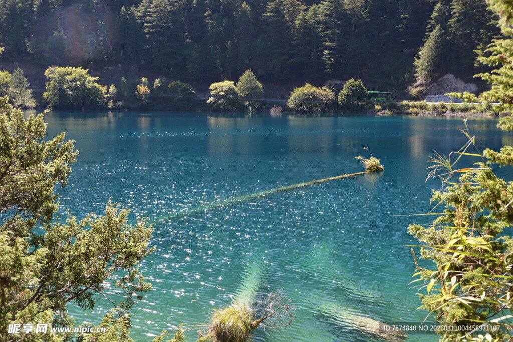 清澈湖畔的自然美景