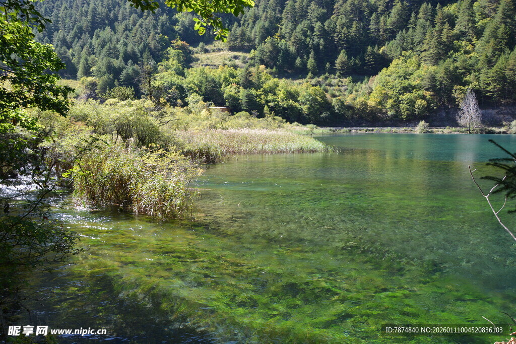 清澈山林间的碧绿湖水