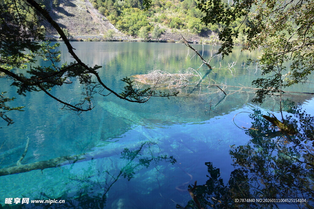 清澈蓝湖与岸边繁茂树木