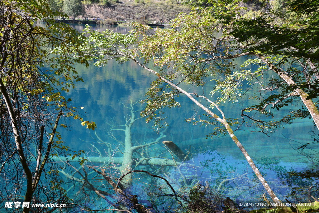 秋日林间的幽蓝湖水
