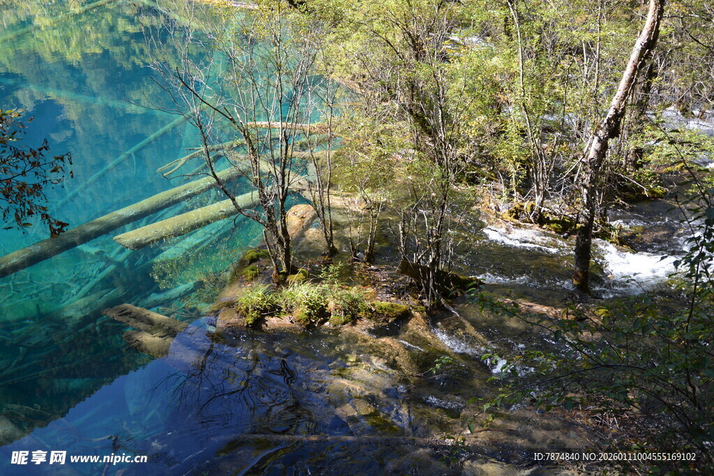 九寨沟清澈湖水与岸边树木