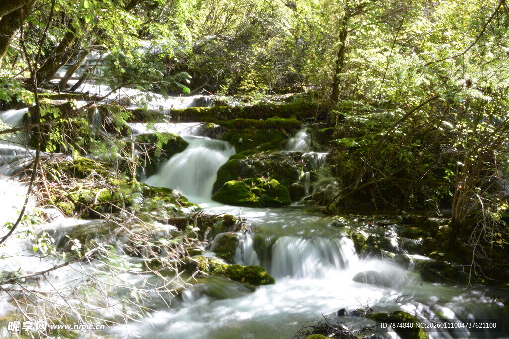 山间溪流潺潺 绿意盎然