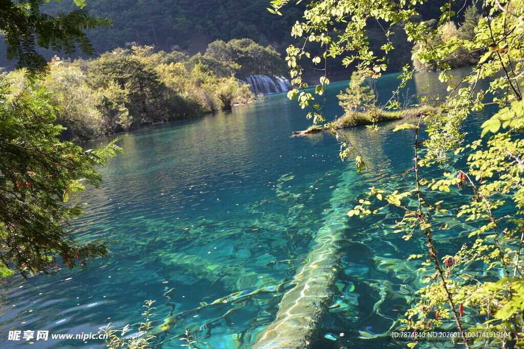 清澈河谷中的自然美景