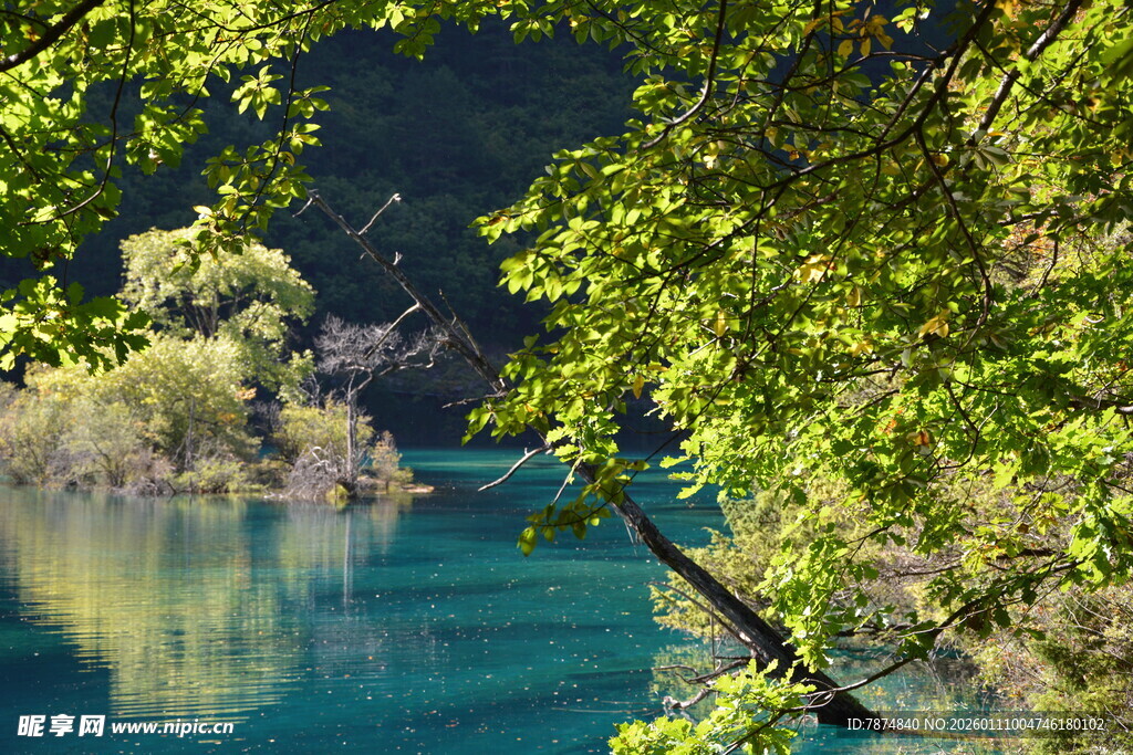 翠绿环绕的澄澈蓝湖