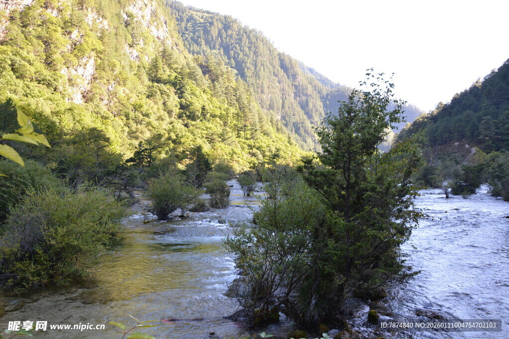 山间溪流旁的葱郁景致