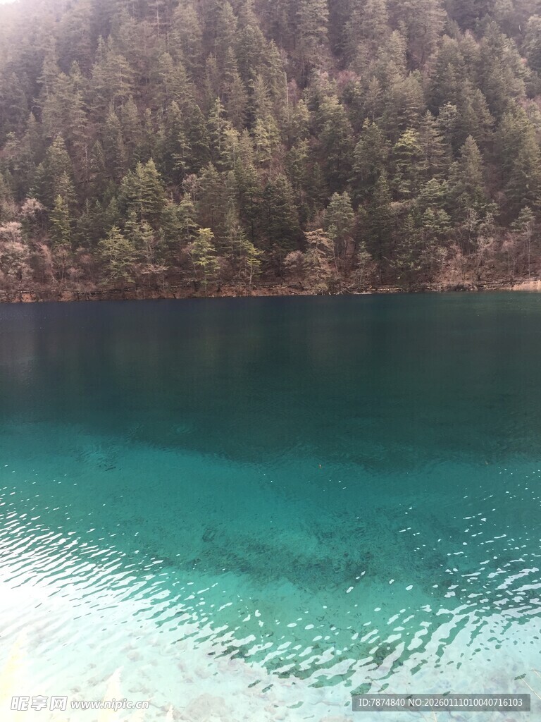 清澈蓝绿色湖水与岸边树林