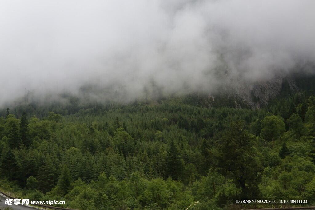 云雾缭绕的山林公路