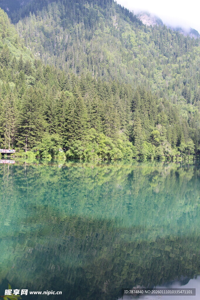 静谧山林间的清澈湖水