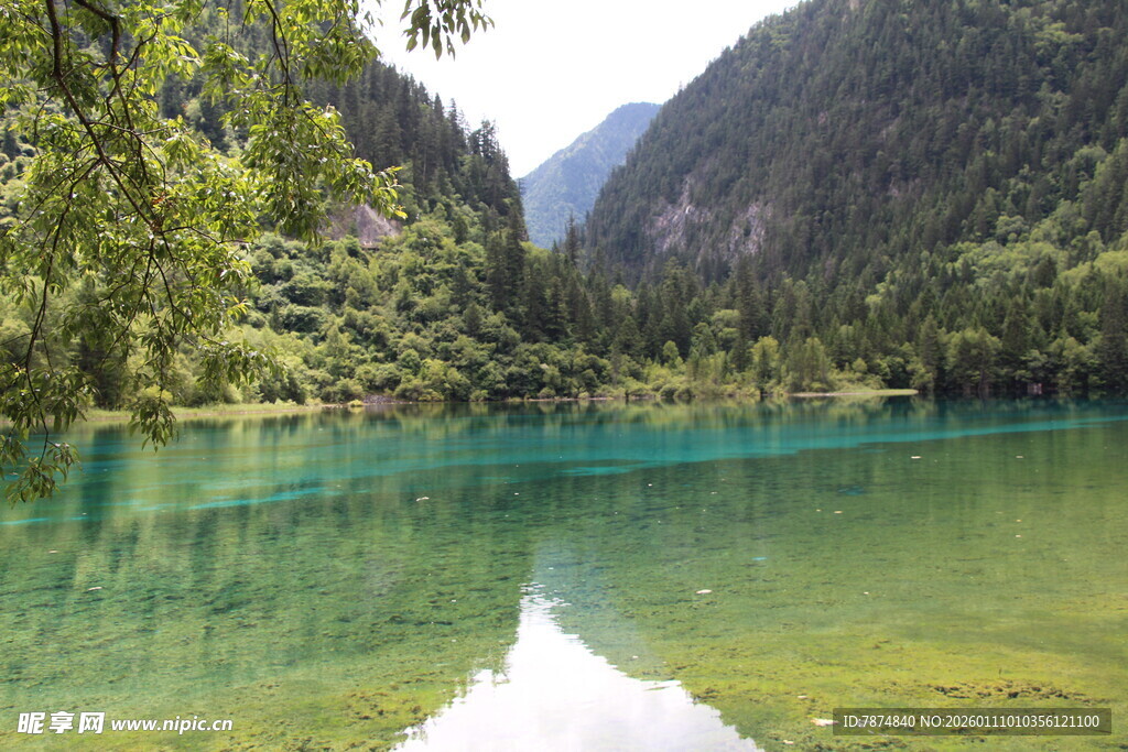 九寨沟碧绿湖水美景