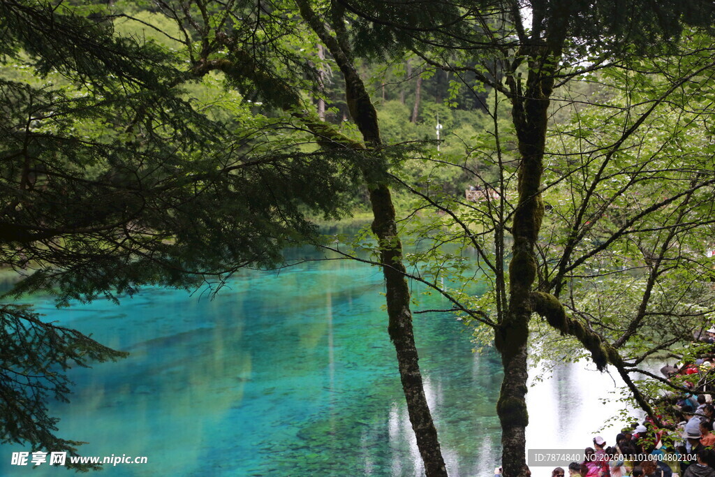 九寨沟绝美蓝绿色湖水景观