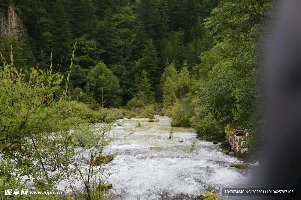 山间湍急溪流穿林而过
