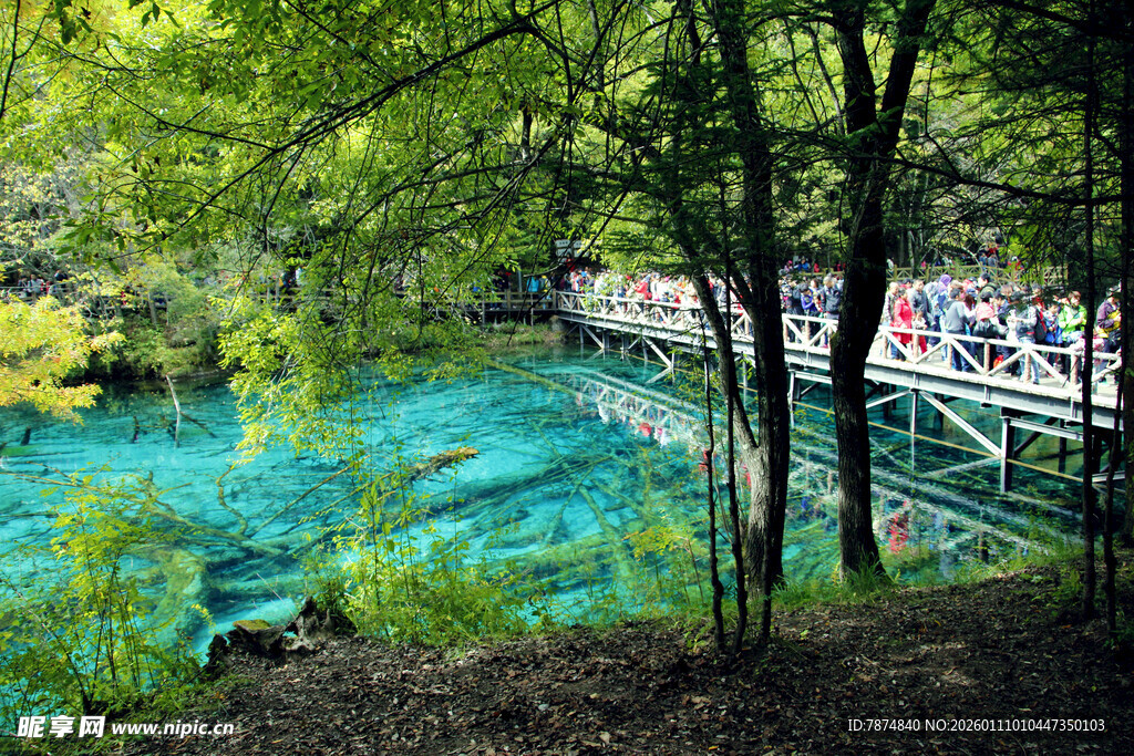 蓝绿色湖水边的林间木桥