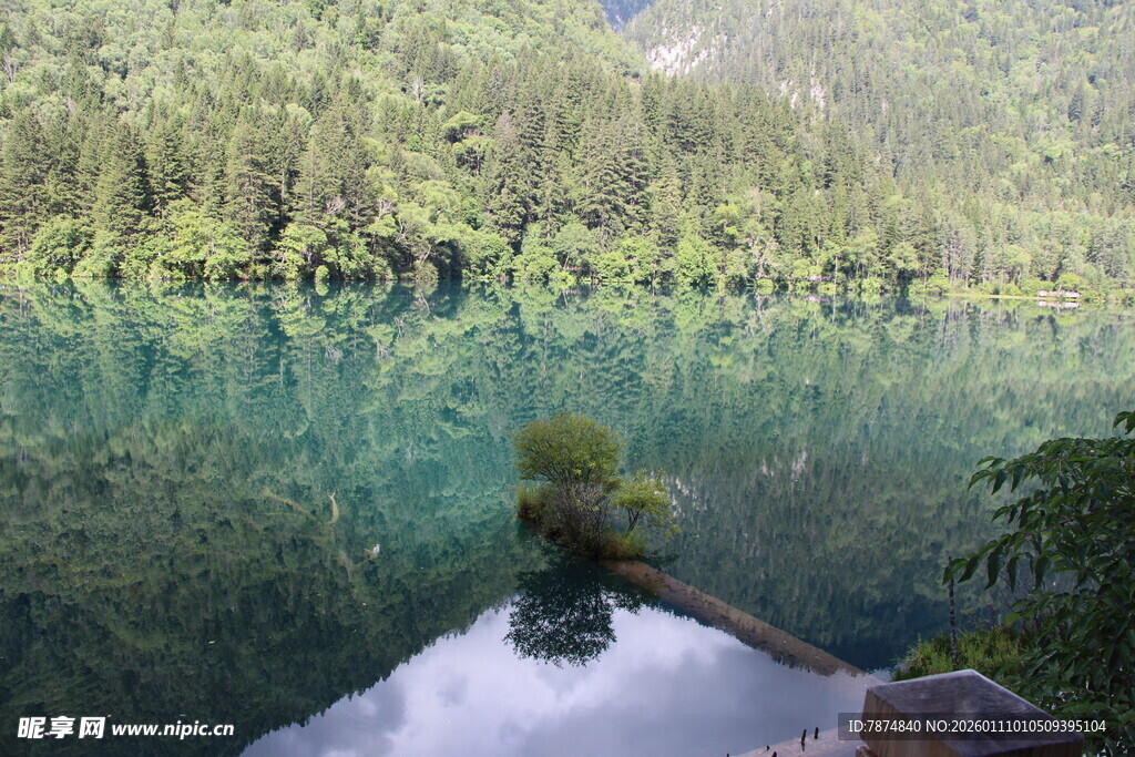 清澈幽潭边的自然景致