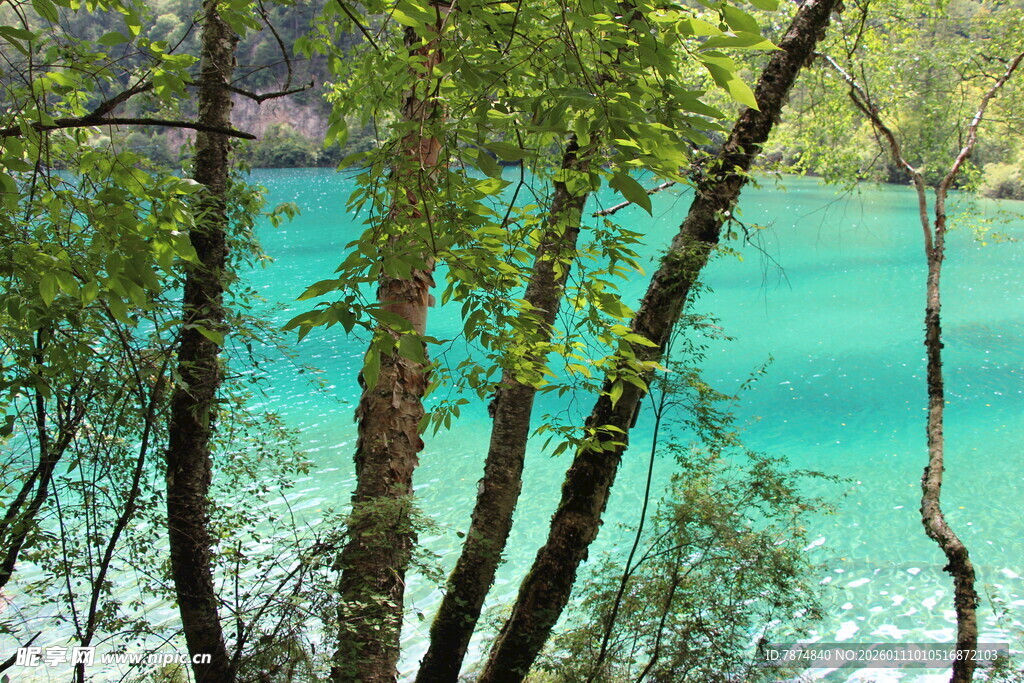 湖畔绿树环绕的幽美景致