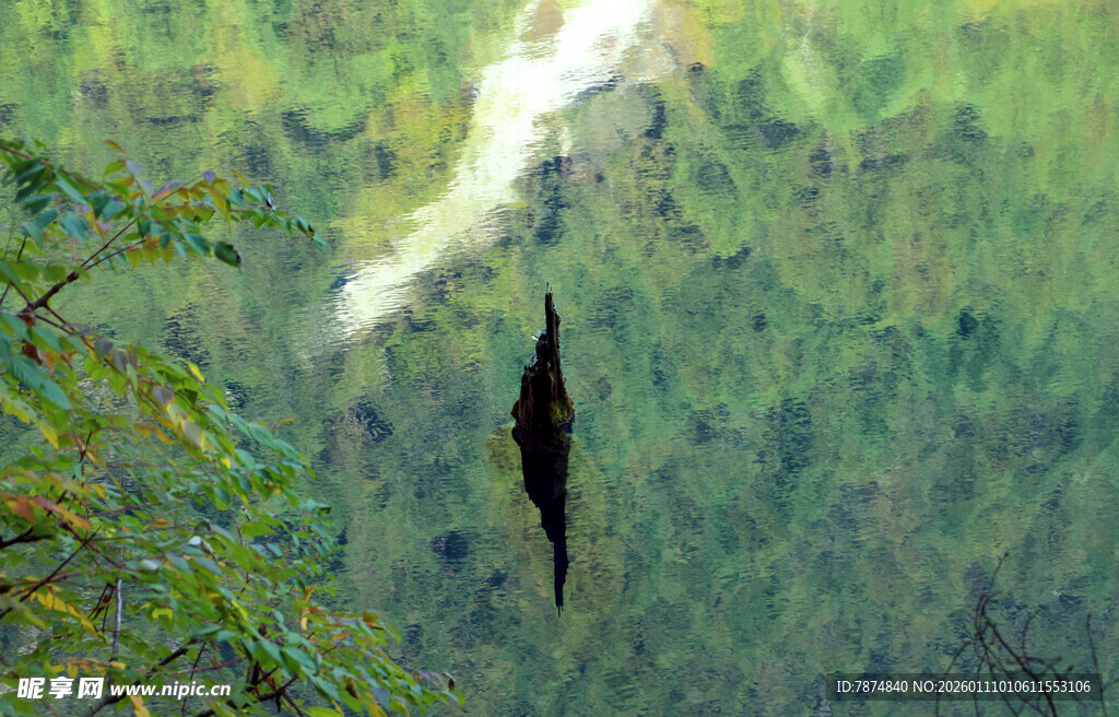 林间悬挂的黑色神秘物体