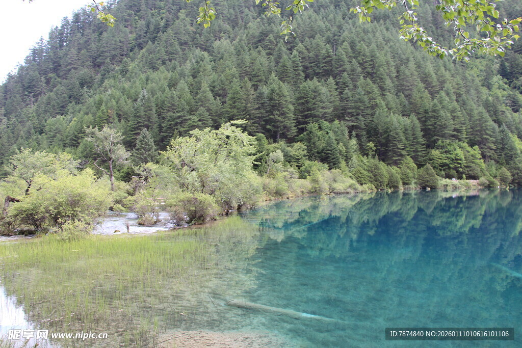 清澈蓝湖与葱郁山林