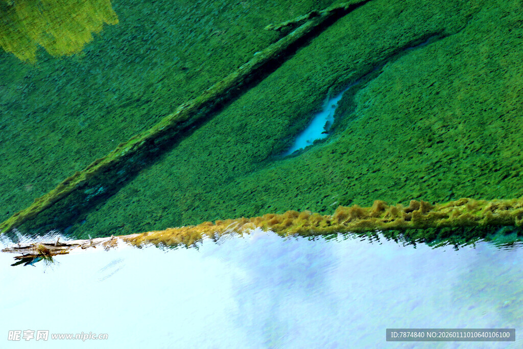 俯瞰绿野中的幽蓝水域