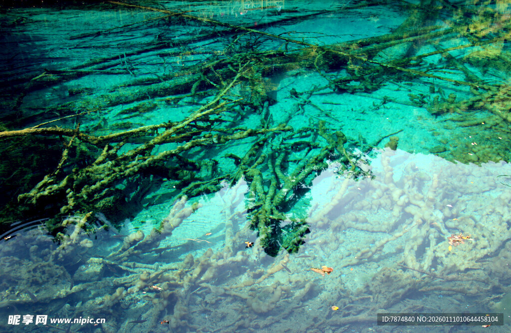 海底世界的奇妙景象
