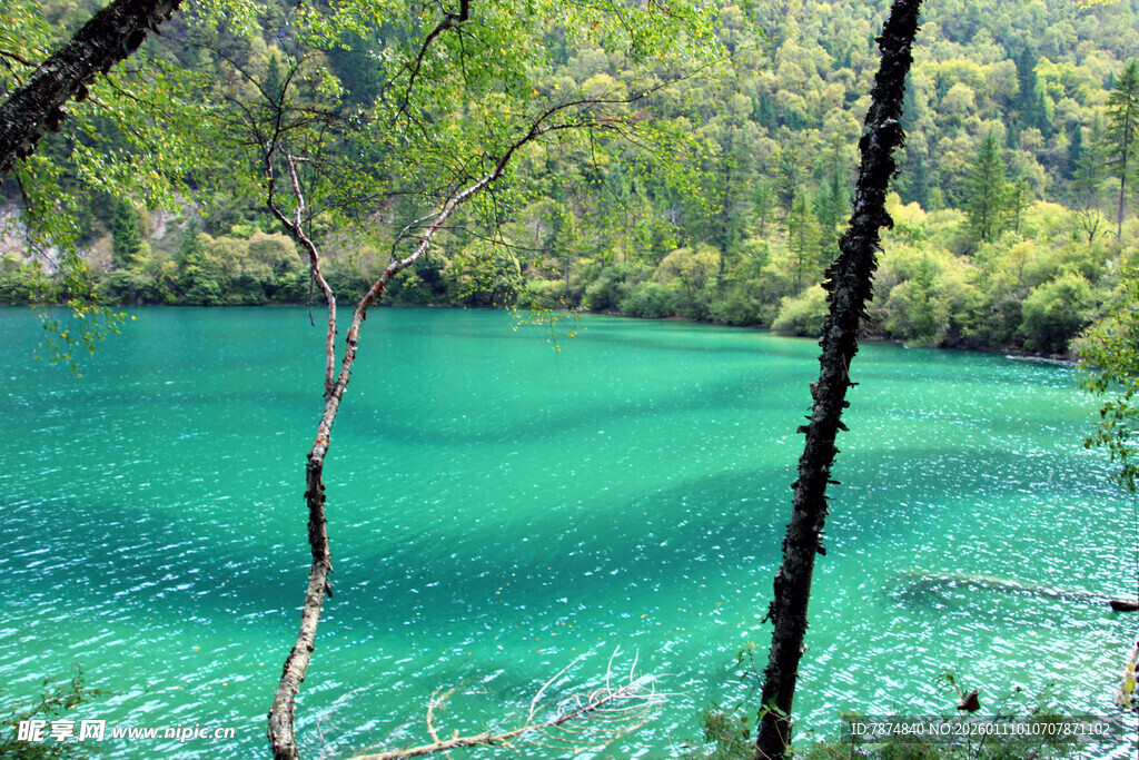 翠绿山林间的澄澈蓝湖