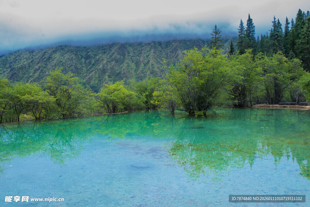 梦幻碧绿湖水与山林美景