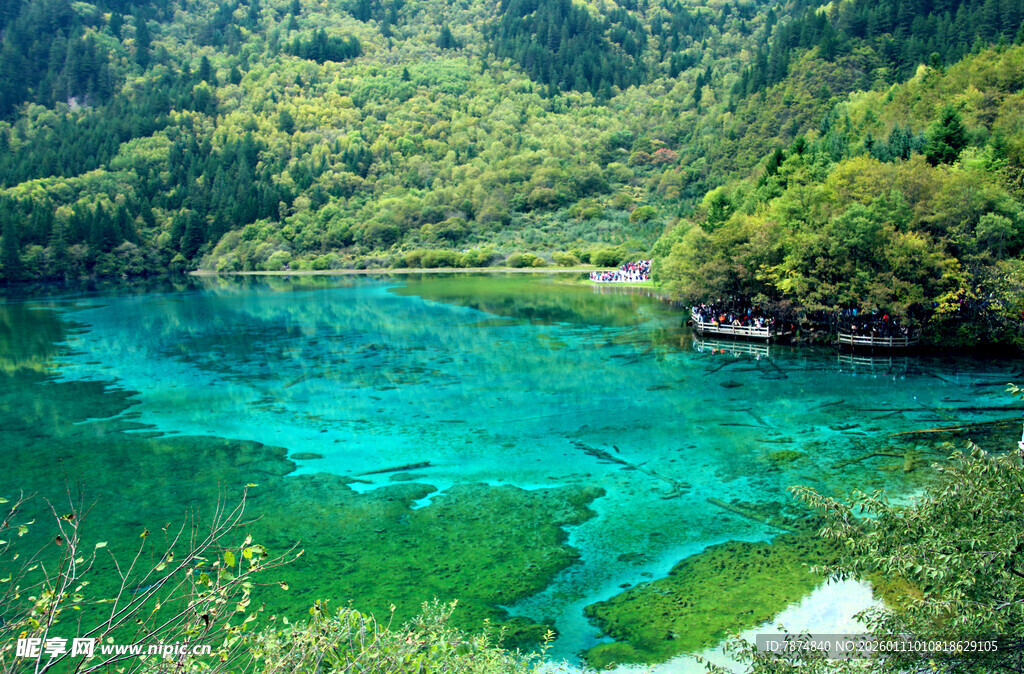 梦幻碧绿湖水 山林环绕
