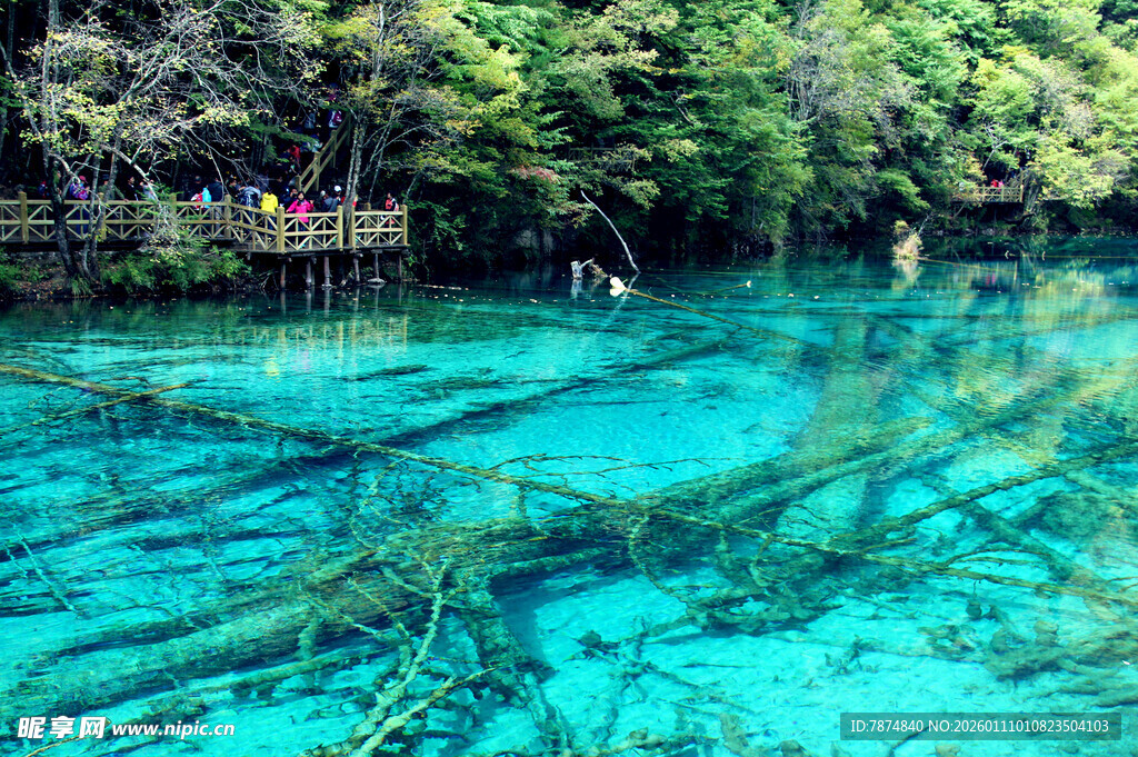 清澈蓝水下的奇幻景象