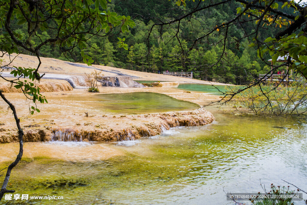 山间溪流旁的自然景致