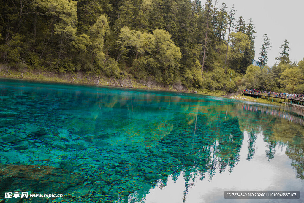 清澈碧绿的山林湖泊