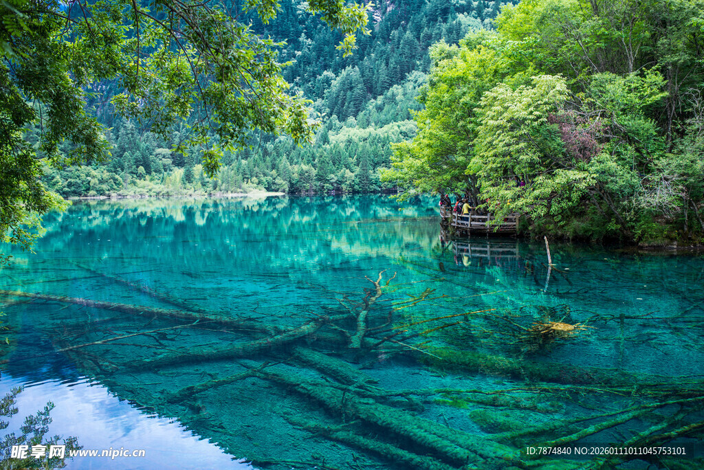 梦幻般的翠绿湖水美景