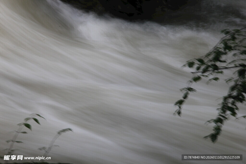 湍急溪流中的翠绿枝叶