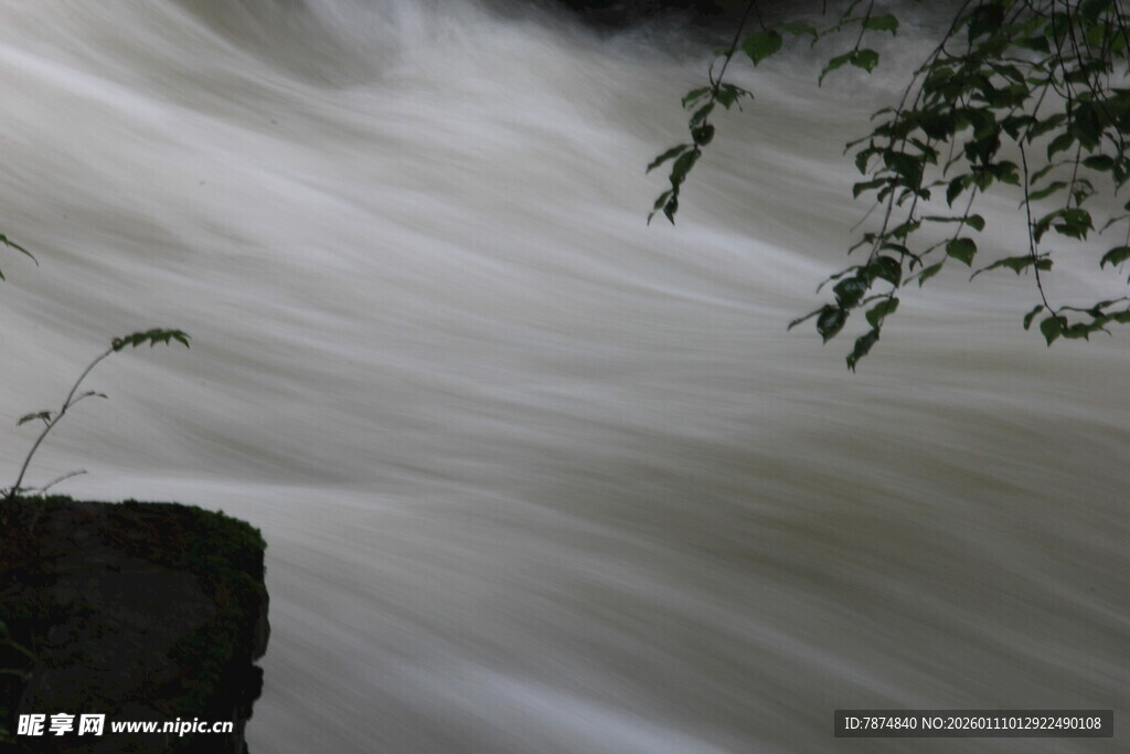 湍急溪流旁的绿植景致