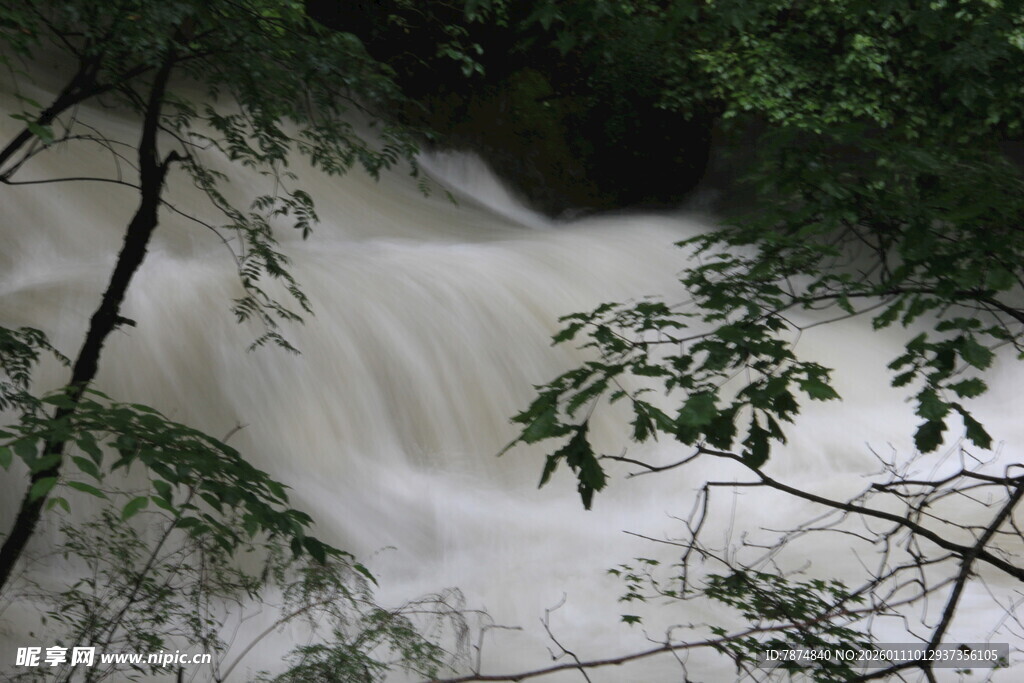 山间湍急溪流穿林而过