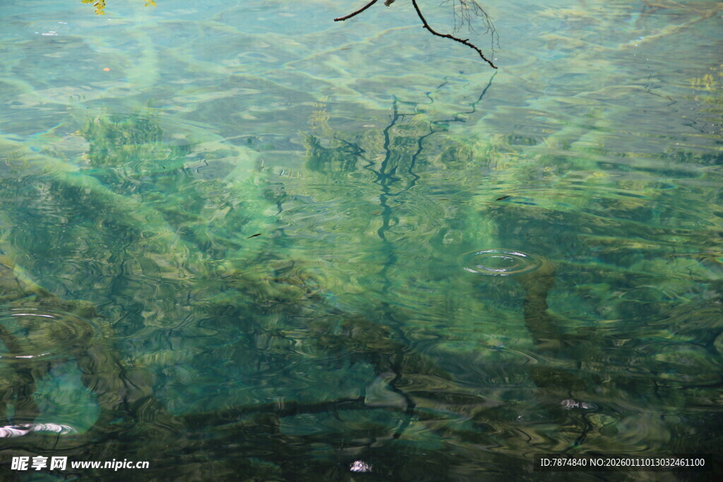 水下奇幻绿植景观