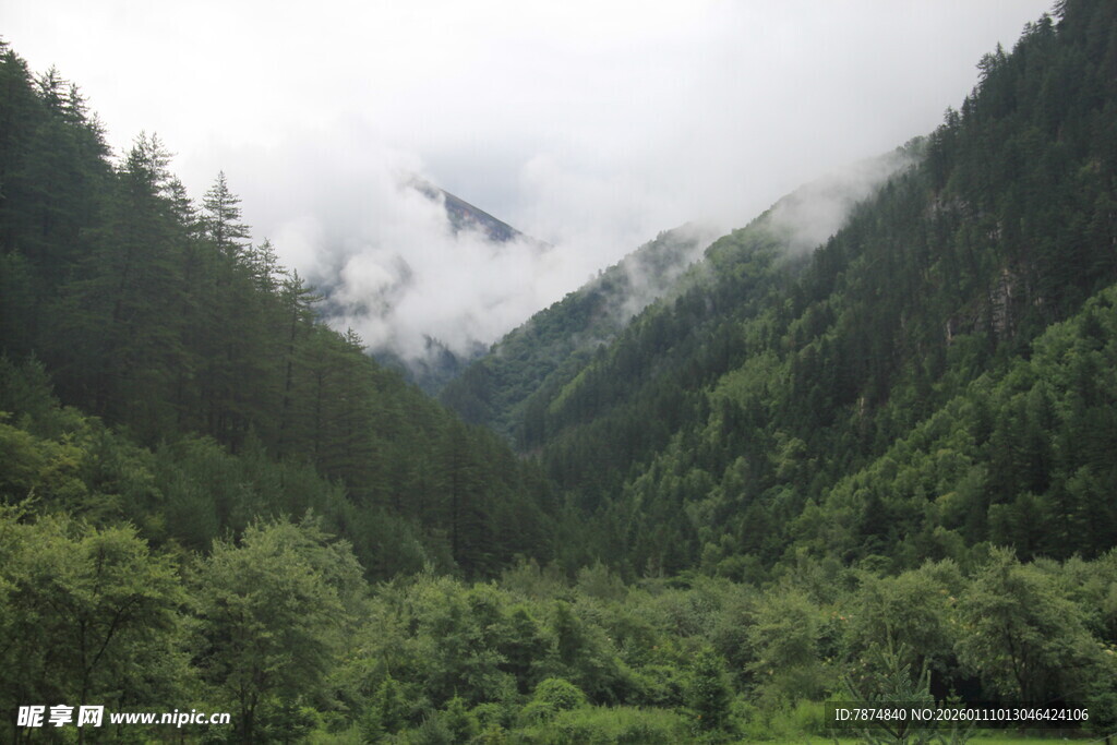 云雾缭绕的山间翠绿景致