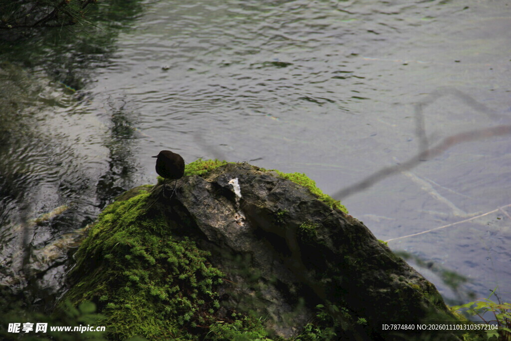 崖边绿植与水面景致