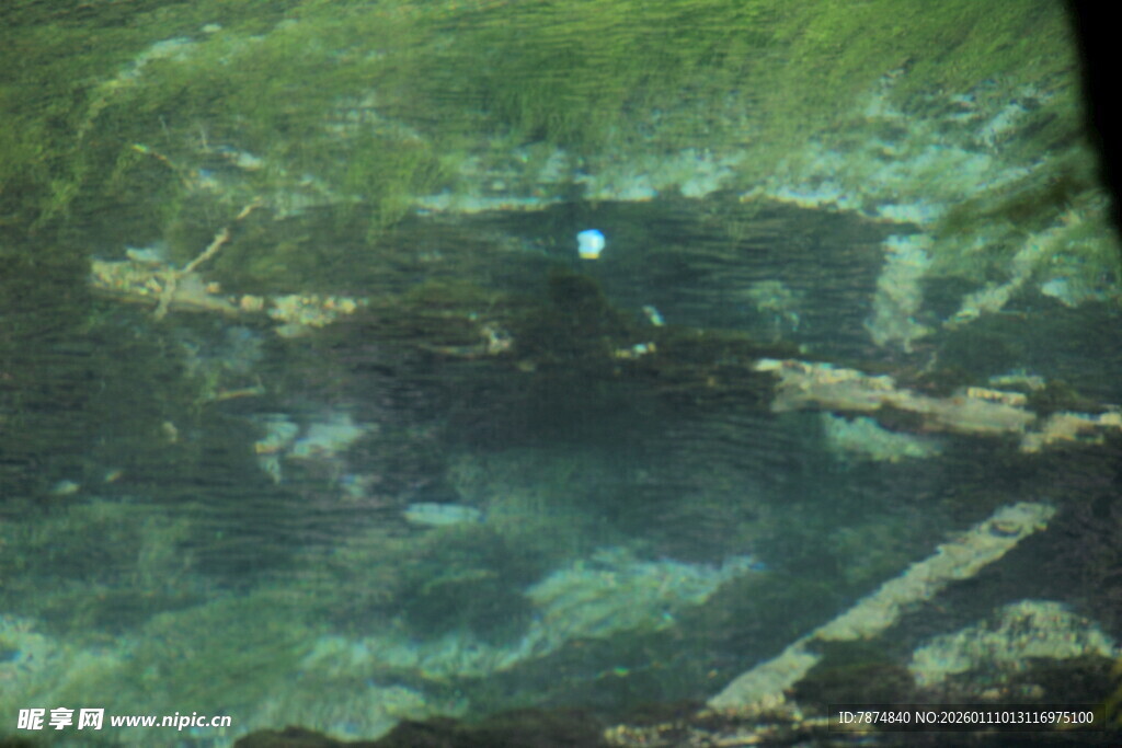 水下景象 斑驳物体与绿植