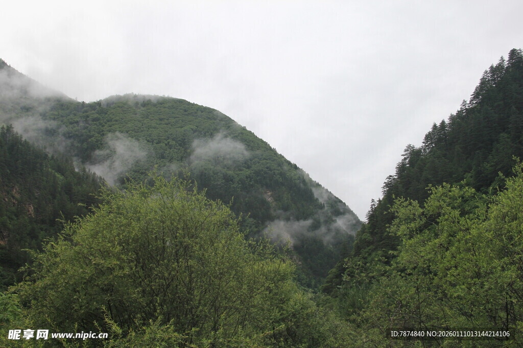 云雾缭绕的山间绿意景色