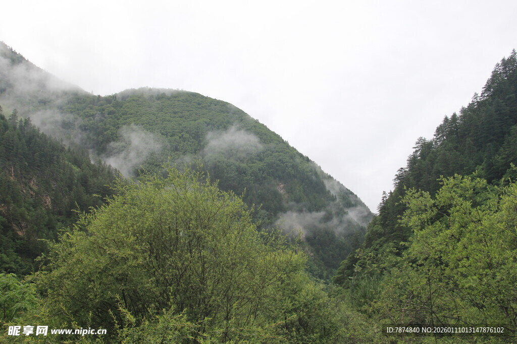 山间云雾缭绕的翠绿景致